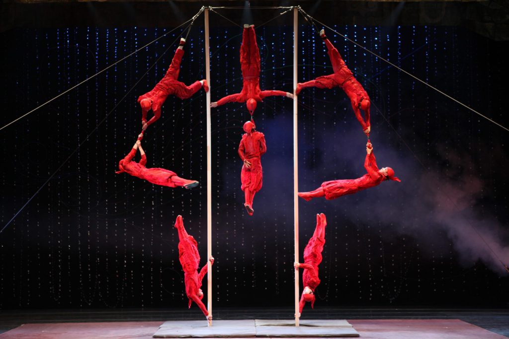 Gymnastics on Vertical Poles