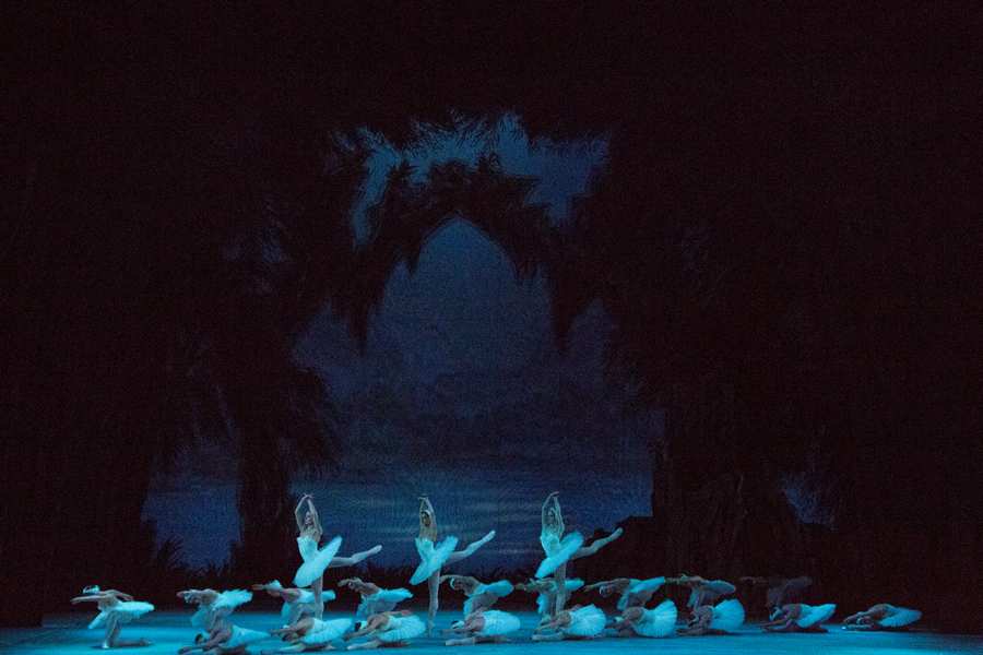 Swan Lake 260 photo by M.Logvinov 29.9.12